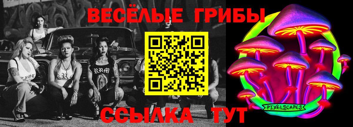 Галлюциногенные грибы Cubensis Саянск